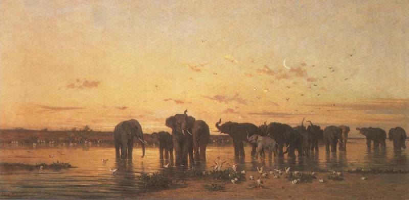 Charles Tournemine Elephants at Sunset